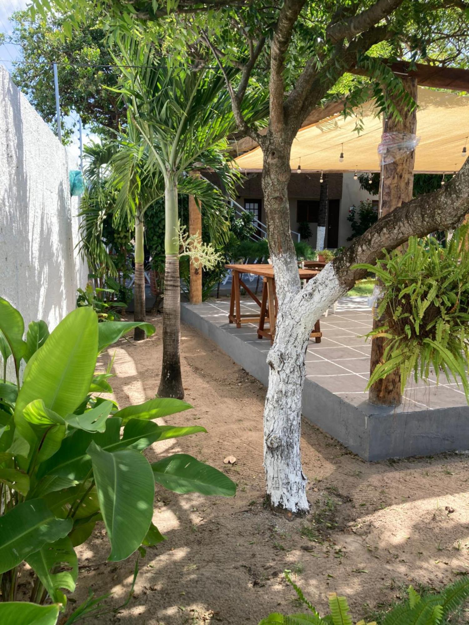 Pousada Vitoria Hotel Pitimbu  Luaran gambar
